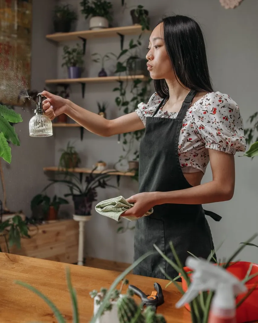 Especialista pulverizando agua sobre plantas de interior